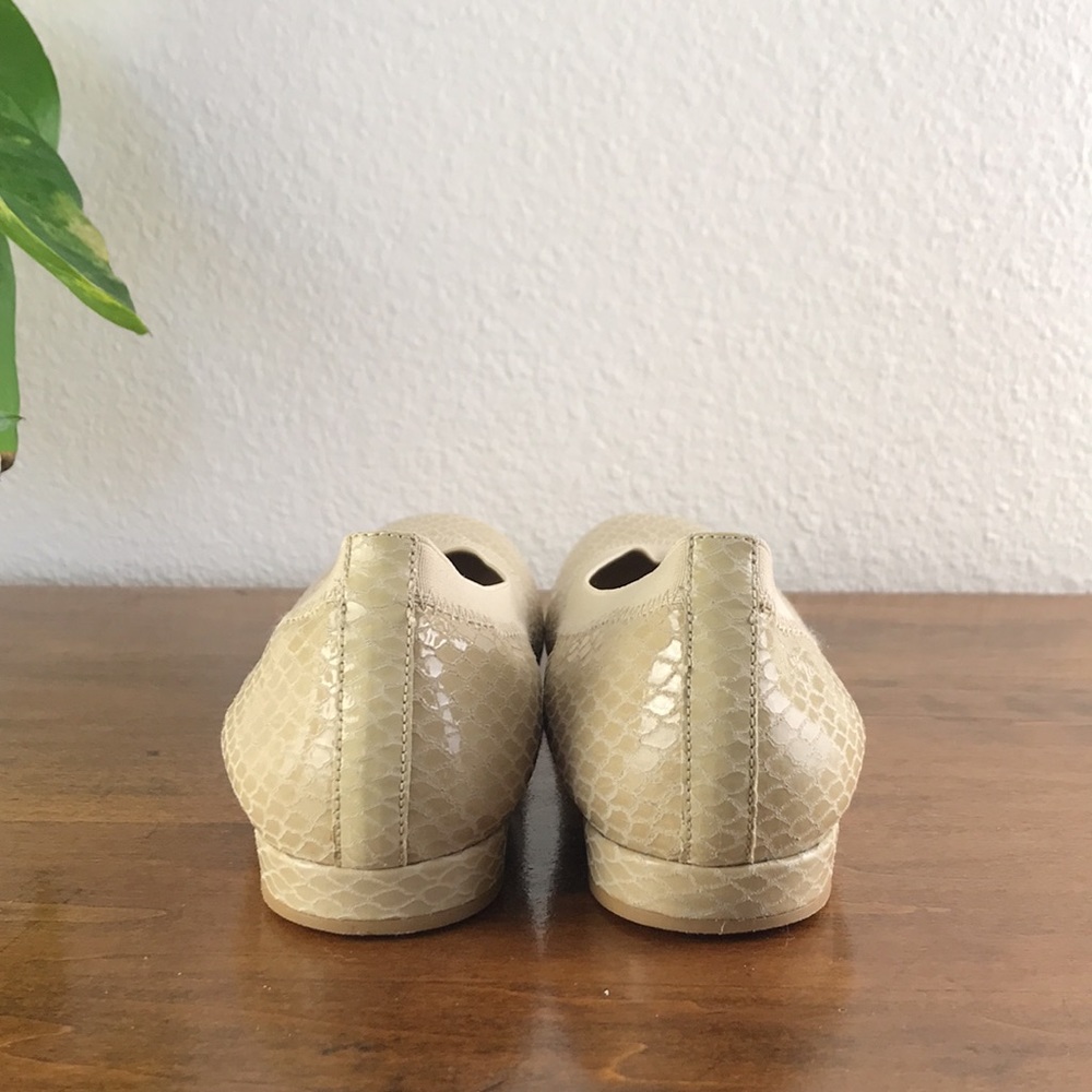 Stuart Weitzman Snake Print Ballet Flats - image 4